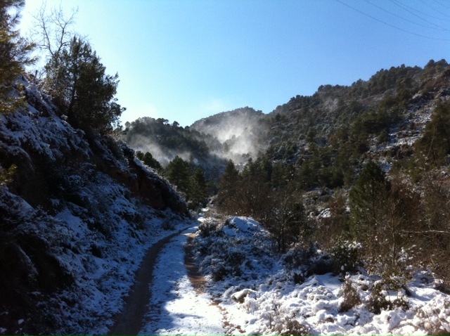 pessebre_2011